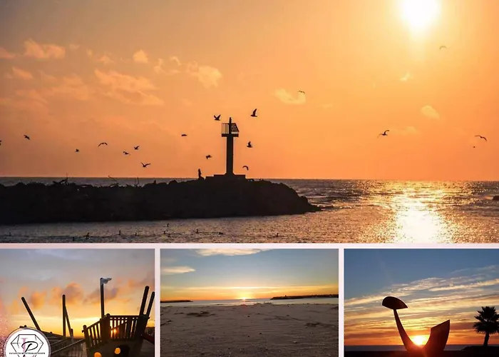 Les Mouettes, Bel à 50m Des Plages De Apartamento *